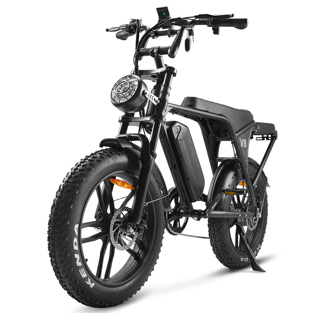 20″ Fat Tire E-Mountainbikes