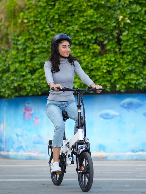 Pendler E-Bike